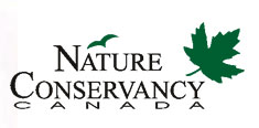 Since 1962, NCC and its partners have helped to conserve more than 1.9 million acres (768,900 hectares) of ecologically significant land nationwide.
